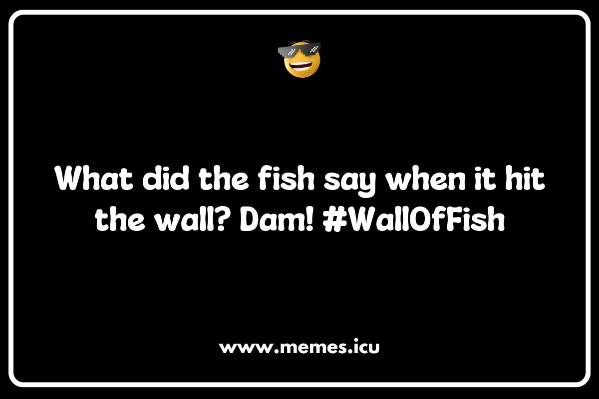 150 Best Fish Memes That Will Make You Laugh Out Loud - Memes