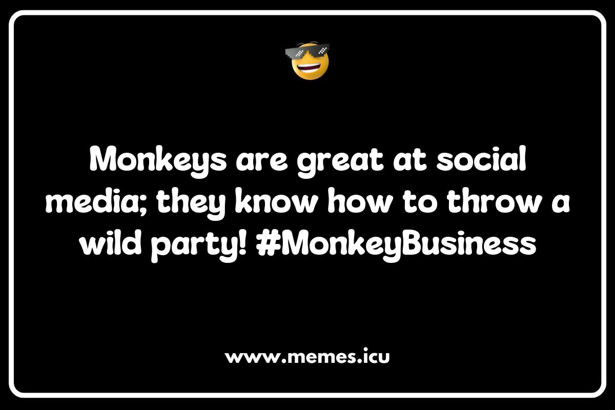 150 Best Monkey Hilarious Memes That Will Make You Laugh Out Loud - Memes