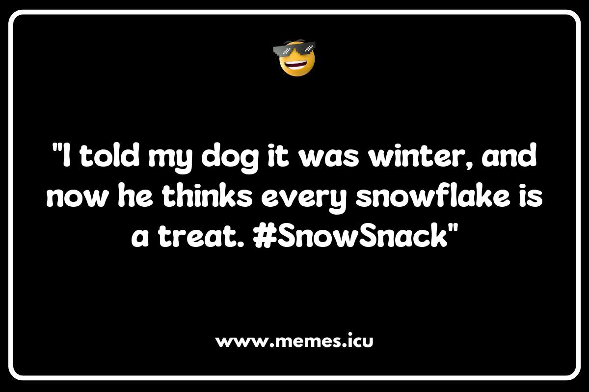 150 Best Winter Memes That Will Keep You Laughing Through the Cold - Memes