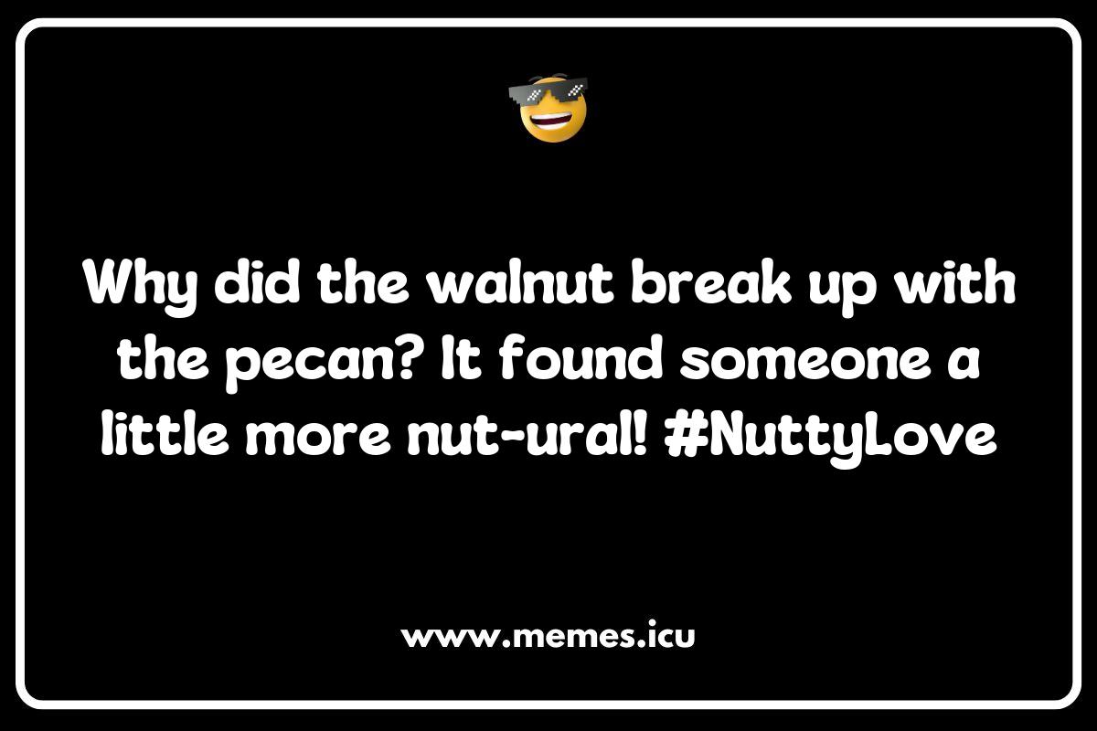 150 Best Walnut Memes That Will Crack You Up: The Funniest Nutty Humor ...