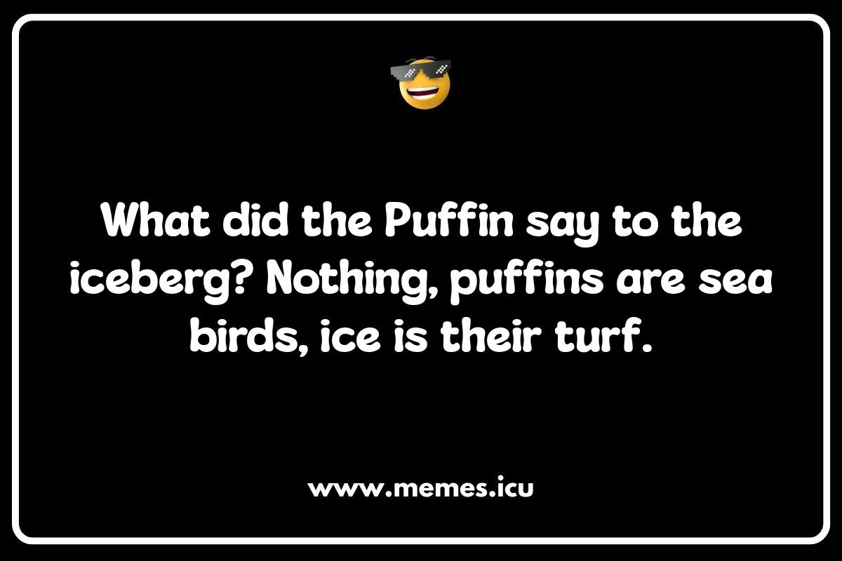 Adult Puffin Humor: Jokes That Soar Above the Rest Funny puffin memes showcasing hilarious jokes and puns.