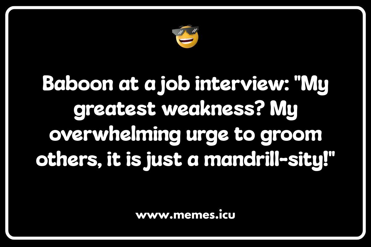 Adulting with Apes: Sarcastic Baboon Memes for Grown-Ups Funny baboon meme showcasing humorous baboon antics. Find more baboon jokes, puns, and viral memes inside.