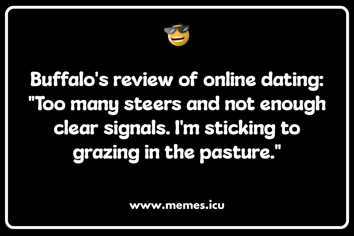 Adulting with Buffalo Memes: Relatable and Roaringly Funny Funny buffalo meme showing a relatable buffalo situation. Check out our buffalo jokes and puns article for more family-friendly humor!