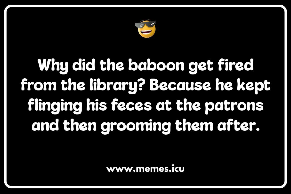 Baboon Brain Teasers: Funny Riddles Featuring Our Primate Pals Funny baboon meme showcasing baboon antics. Enjoy more baboon jokes and puns in our hilarious collection!