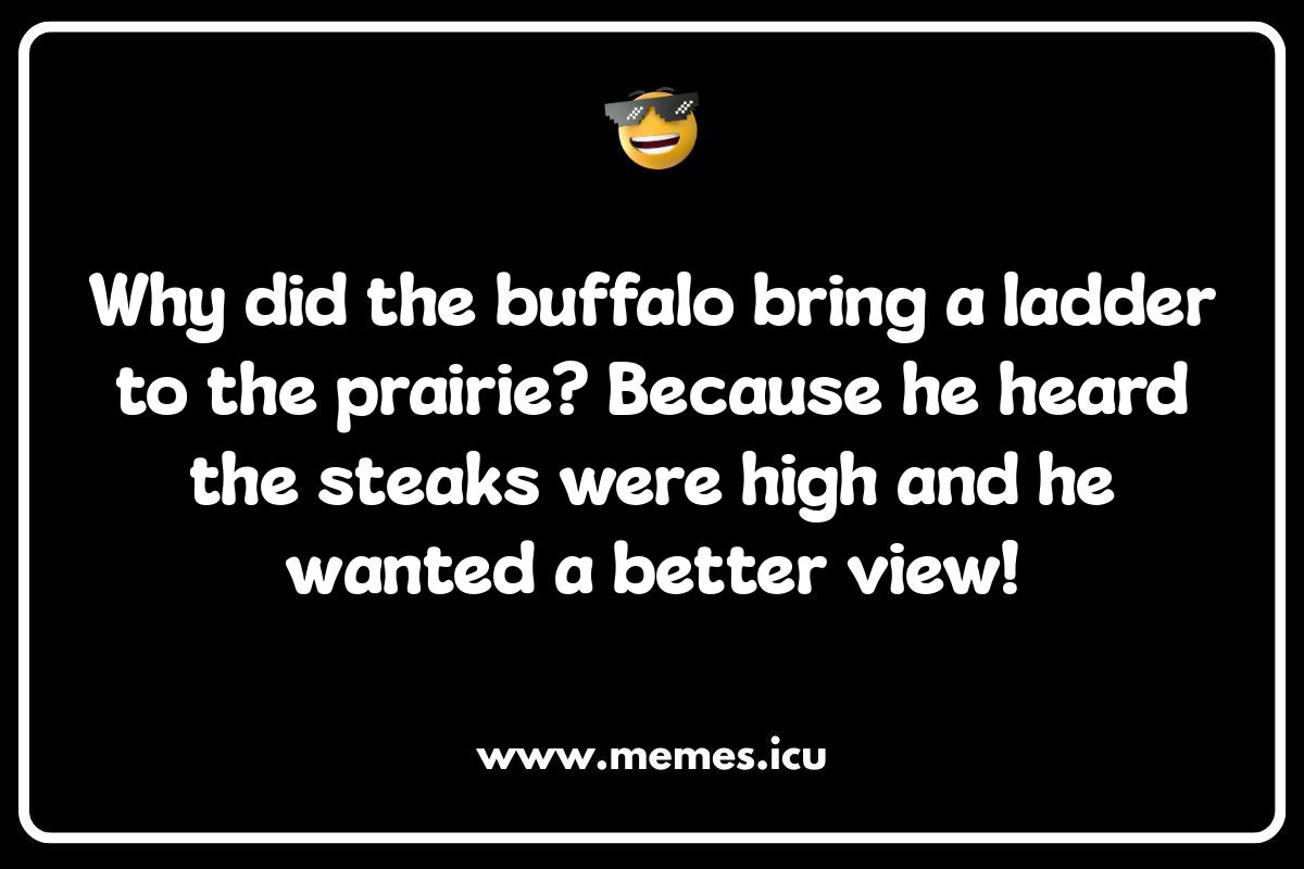 Clean Buffalo Jokes: Family-Friendly Fun for Everyone Funny buffalo meme. Hilarious buffalo jokes and puns for kids and adults!