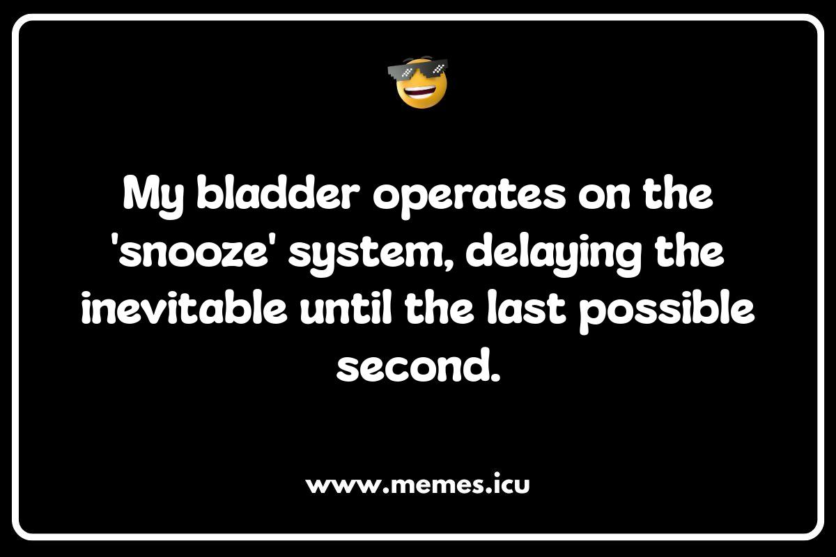 Flush Puns: Are You Ready to Go With the Flow? Funny flush memes and jokes. Potty humor, toilet puns, and viral toilet fails.