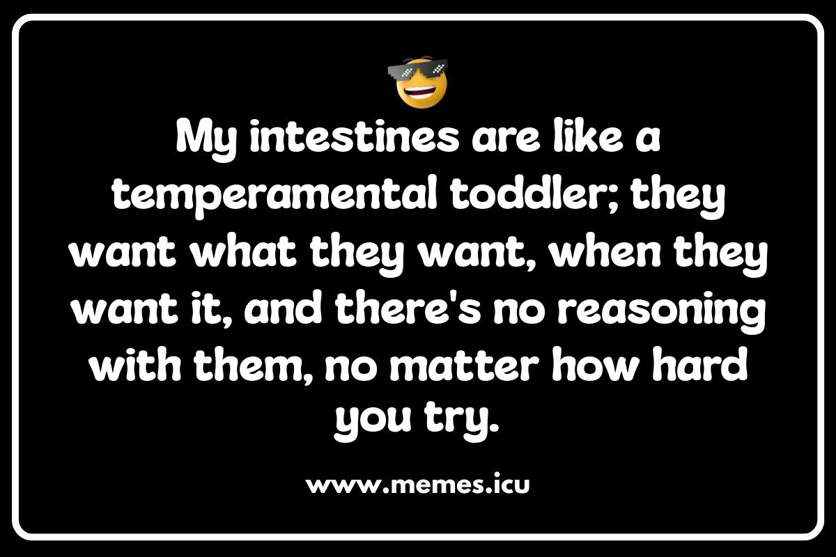 IBS Intestines Memes: Finding the Funny Side of Digestive Distress Funny intestines memes and jokes! Explore gut-busting humor, IBS memes, anatomy silliness, and witty captions for gut-related posts.