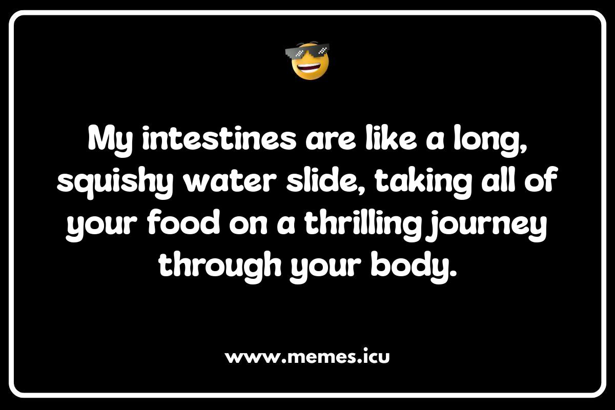 Intestines Jokes for Kids: Keeping the Humor Clean and Educational Funny intestines memes and jokes! Relatable gut humor for anatomy nerds, IBS sufferers, and anyone who enjoys a good digestive pun.
