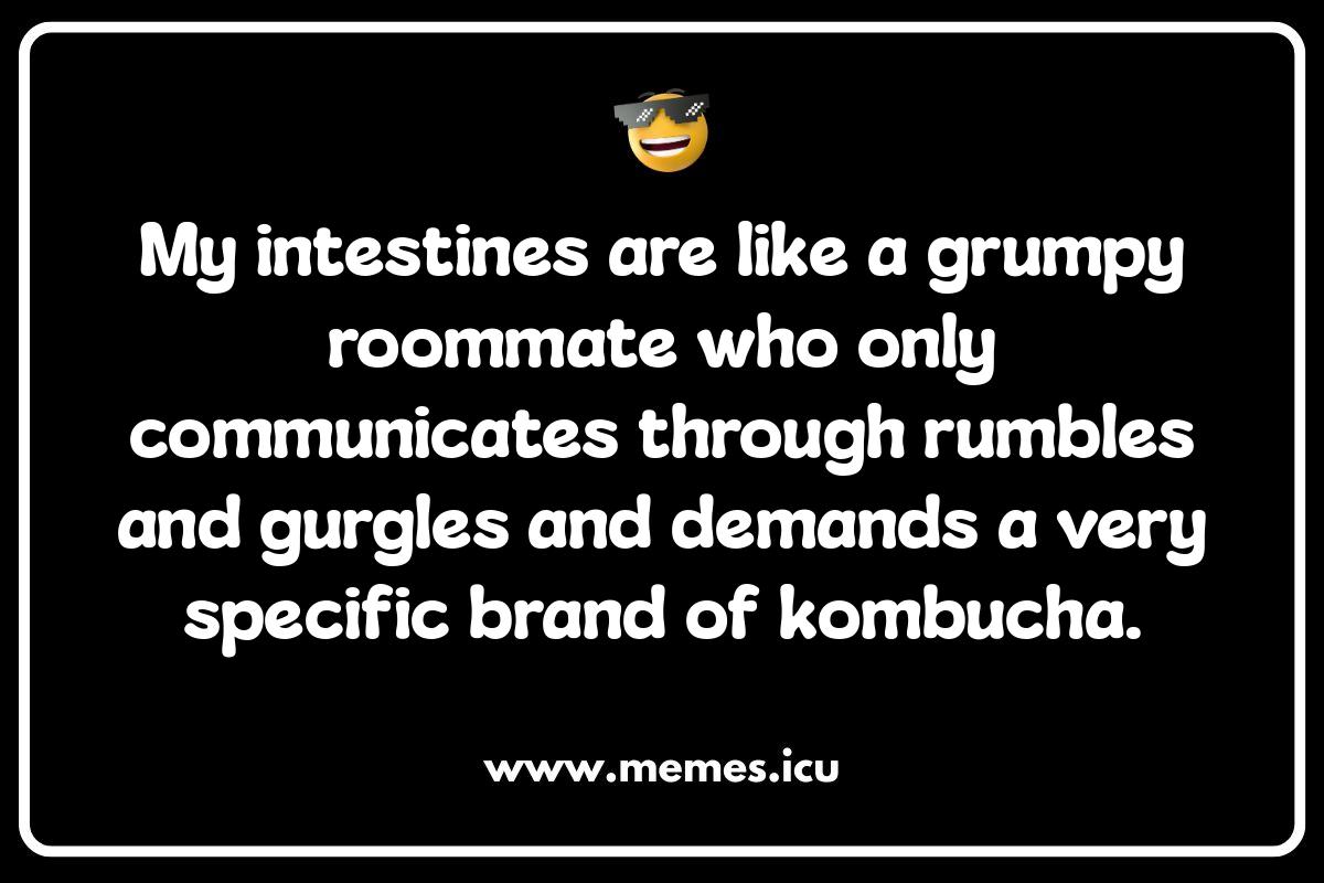 Intestines Memes: A Gut-Busting Collection for Anatomy Nerds Funny intestines memes and jokes. Gut-busting humor for anatomy nerds, IBS relief, and even doctor's office laughs!