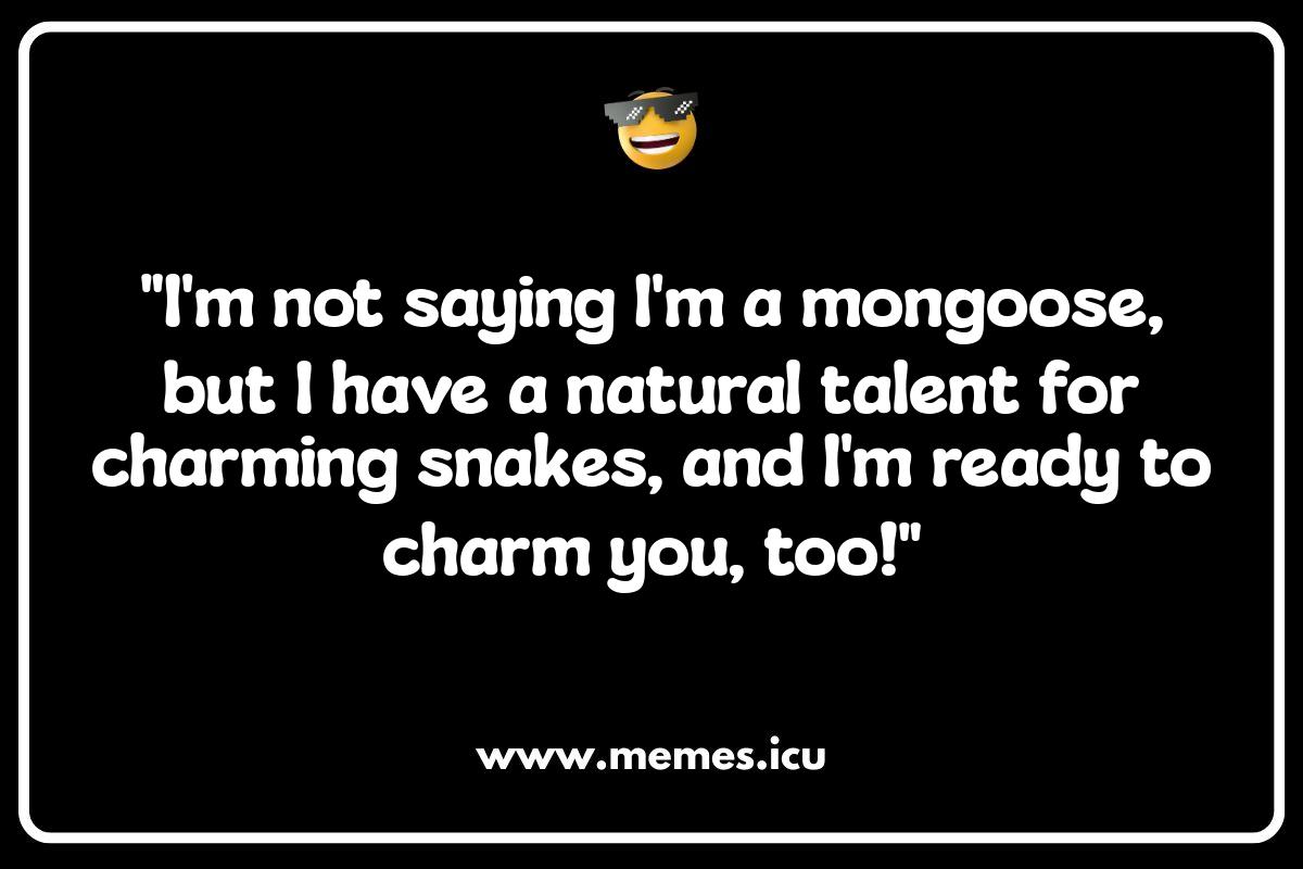 Mongoose Mania: Funny Social Media Captions to Unleash Funny mongoose meme showcasing the animal's mischievous nature. Related to mongoose jokes, memes, and humor for all ages.