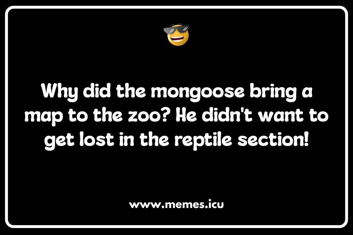 Mongoose Mischief: Kid-Friendly Jokes for Little Nature Enthusiasts Funny mongoose memes showcasing their mischievous antics. Perfect for animal lovers seeking mongoose mayhem and jokes.