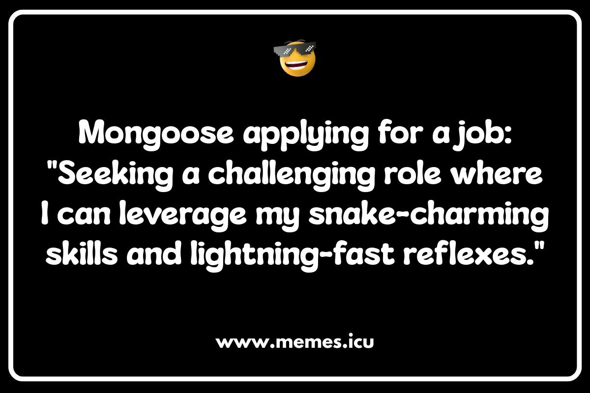 Mongoose Misdemeanors: Hilarious Memes for Animal Lovers Funny Mongoose Memes showing mischievous mongooses. Animal lovers will enjoy these mongoose jokes and memes.
