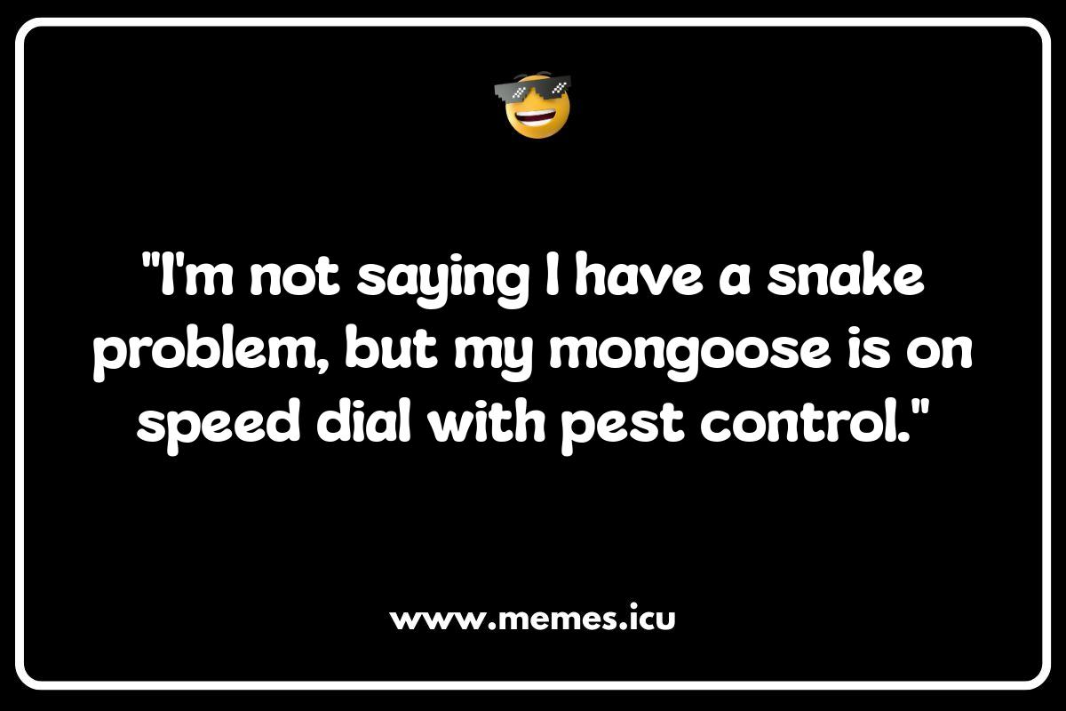 Mongoose Puns: A Wildebeest of Wordplay for All Ages Funny mongoose meme showcasing mongoose versus cobra rivalry. A hilarious animal meme for mongoose lovers.
