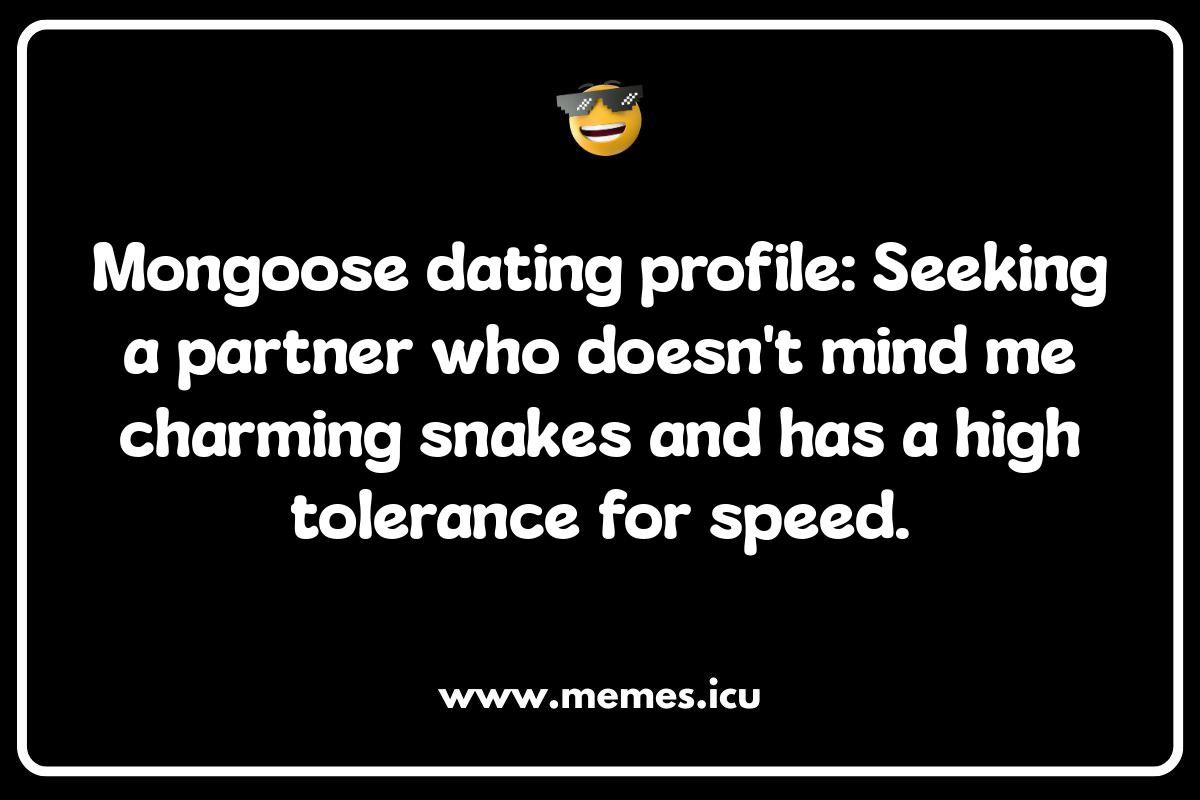 Mongoose Versus Cobra: The Ultimate Meme Showdown Funny mongoose memes showcasing their mischievous antics. Laugh at mongoose vs cobra showdowns and wild wordplay!