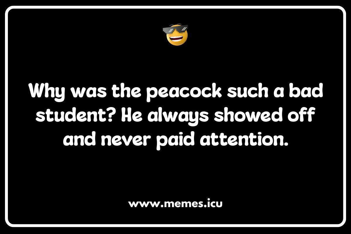 Peacock Jokes for Kids: Clean Comedy with Colorful Birds Funny peacock memes showcasing the bird's hilarious antics and common misconceptions.