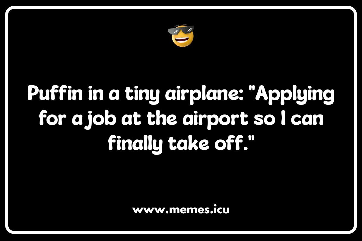 Puffin Jokes About Flying: Taking Comedy to New Heights Funny Puffin Meme: Squawking with laughter at these puffin jokes and puns. Hilarious puffin memes for kids and adults.