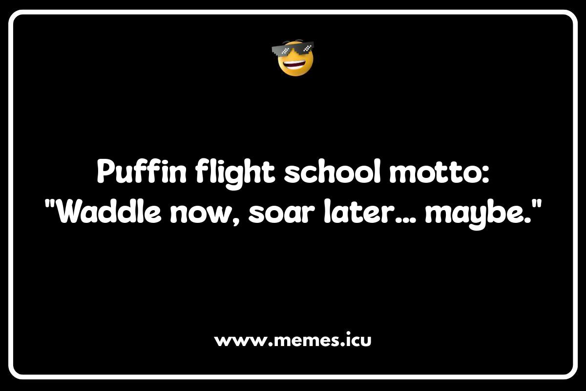 Puffin Memes for Kids: Adorable and Appropriately Funny Funny puffin memes and jokes. Hilarious puffin humor for all ages, including puns and social media gold.