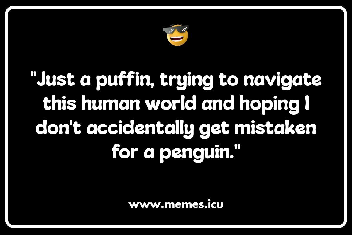 Puffin Social Media Gold: Hilarious Captions and Posts Funny puffin memes and jokes. Hilarious puffin pictures and puns for all ages.