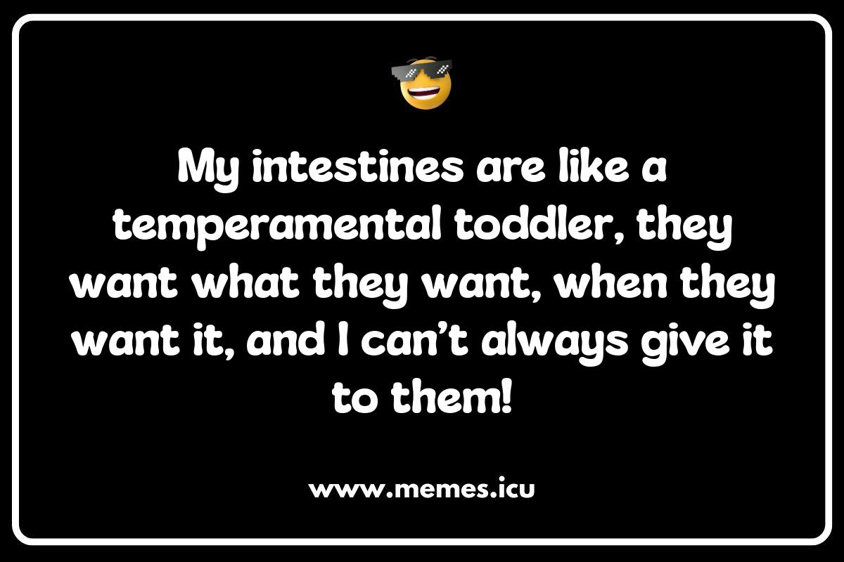Social Media Intestines Captions: Witty Lines for Your Gut-Related Posts Intestines memes and jokes! Funny gut humor for anatomy nerds, IBS sufferers, and anyone who appreciates a good intestine pun.