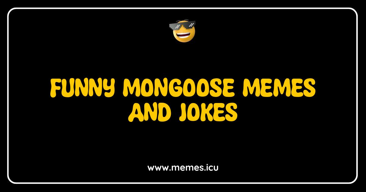 Best Funny Mongoose Memes and Jokes That Will Crack You Up Funny mongoose memes showing their mischievous antics. Hilarious jokes for animal lovers and kids.