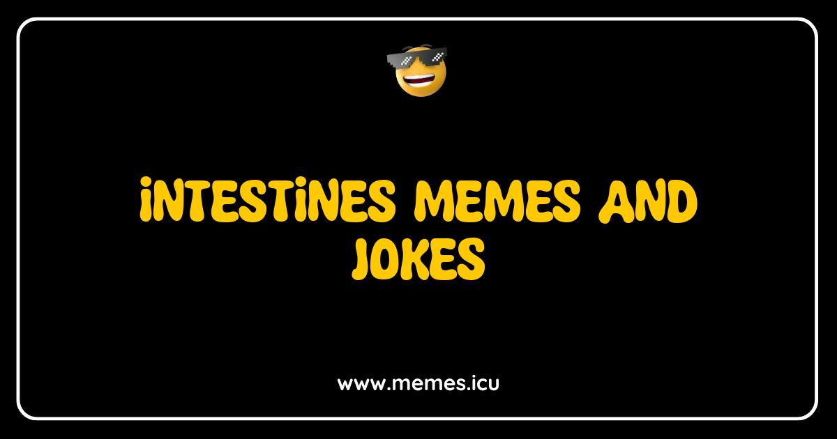 Best Intestines Memes and Jokes Your Gut Will Thank You For Funny intestines memes and jokes for anatomy nerds, kids, and adults. Explore gut-busting humor, IBS memes, and witty captions.